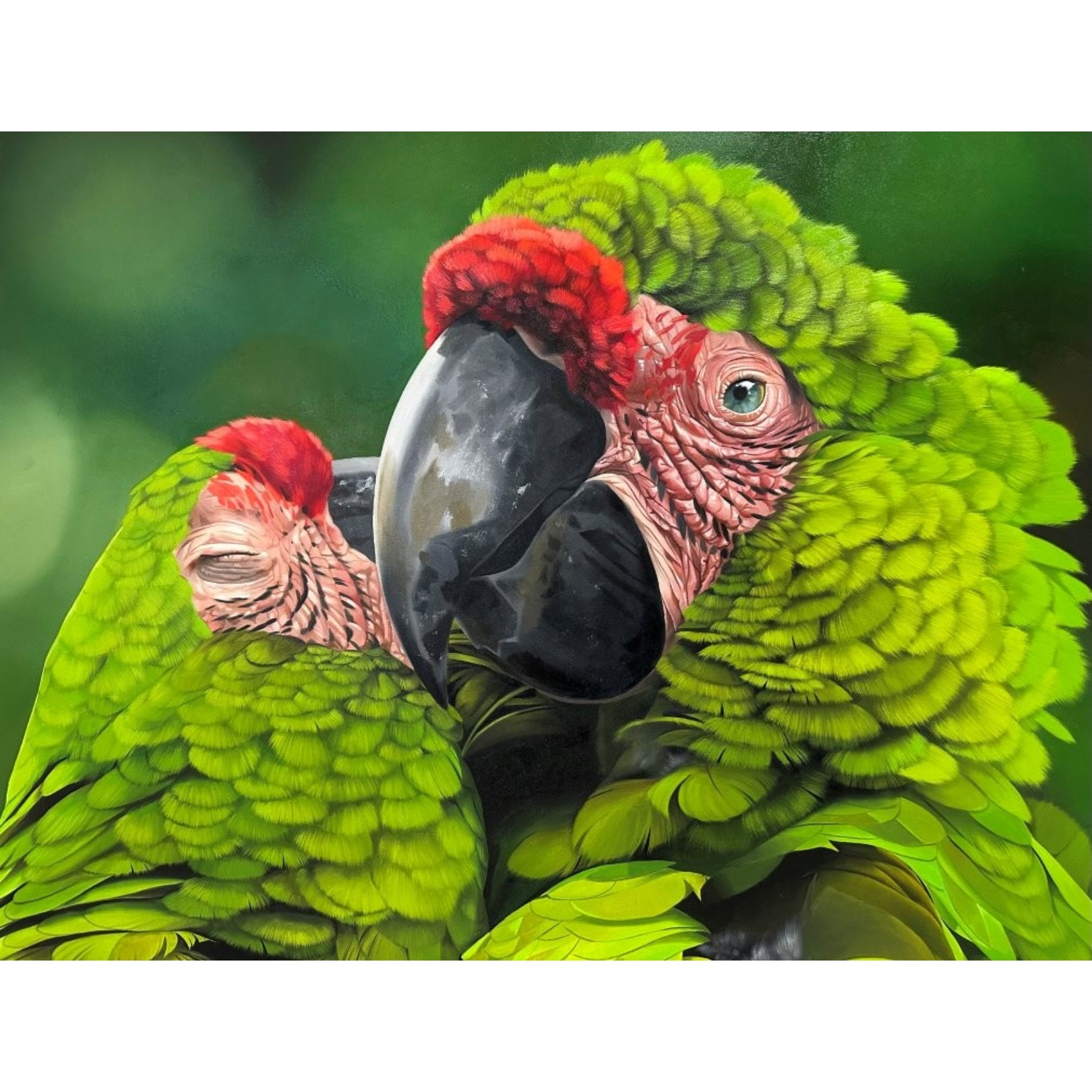 ALLIANCE OF MACAWS - PETTERSON SILVA - Galeries Bartoux