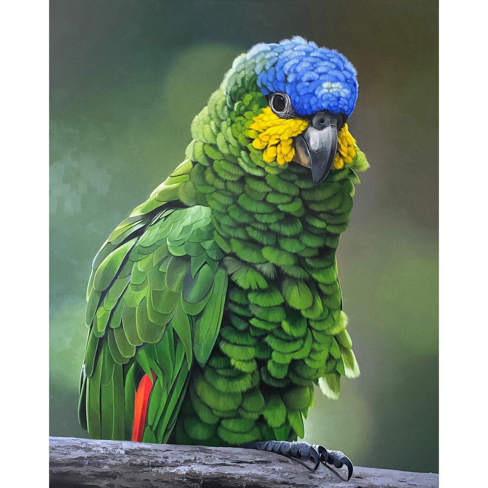 JEWEL OF THE FOREST - PETTERSON SILVA - Galeries Bartoux