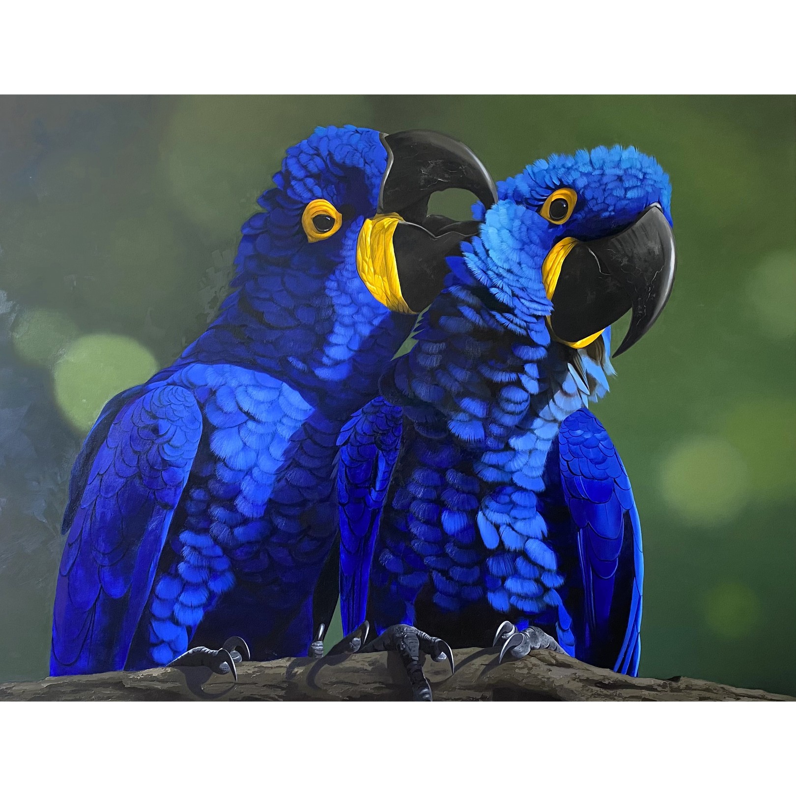 PREENING - PETTERSON SILVA - Galeries Bartoux