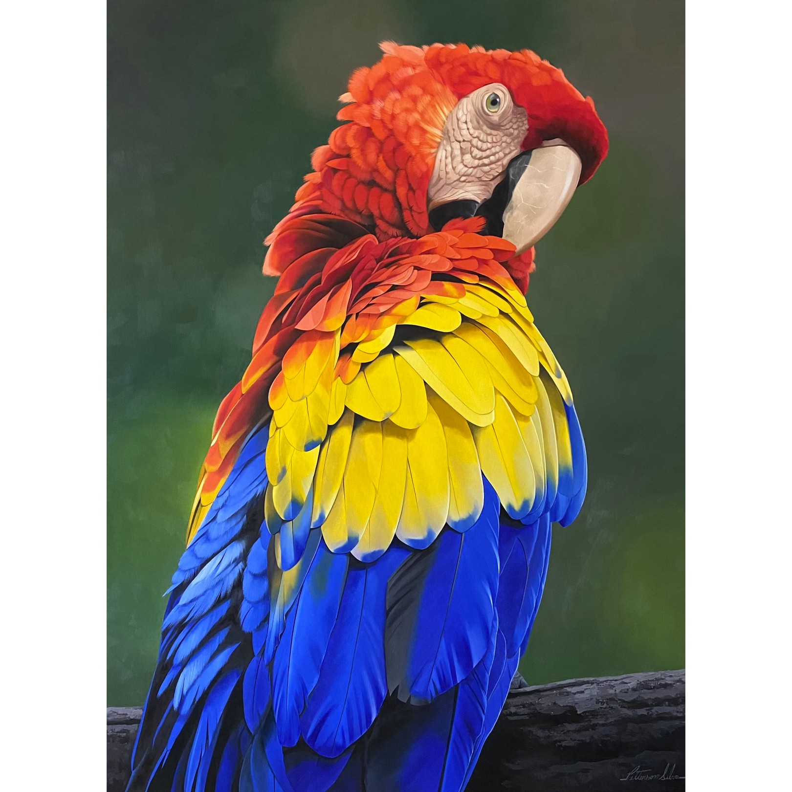 PREENING - PETTERSON SILVA - Galeries Bartoux