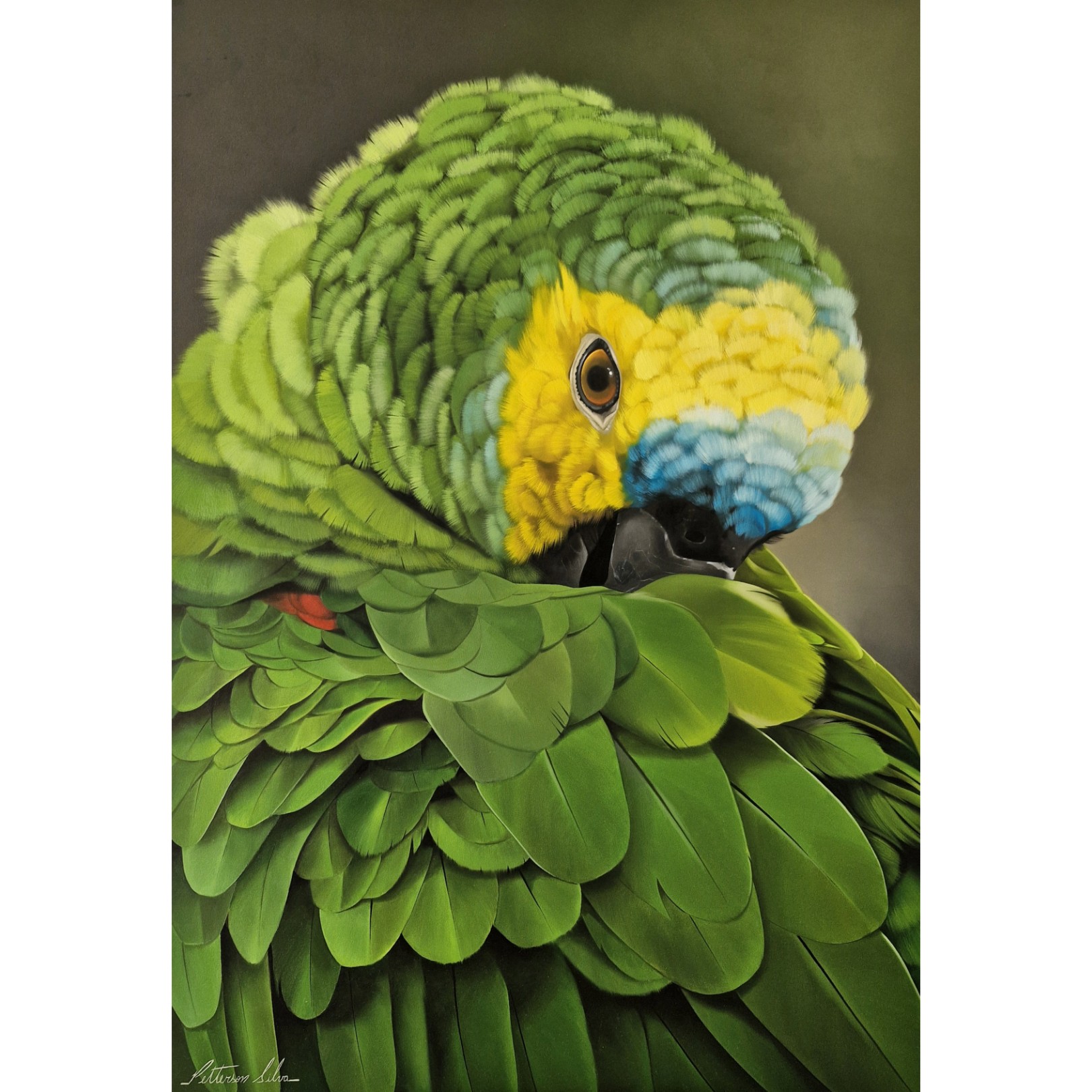 REAL PARROT - PETTERSON SILVA - Galeries Bartoux