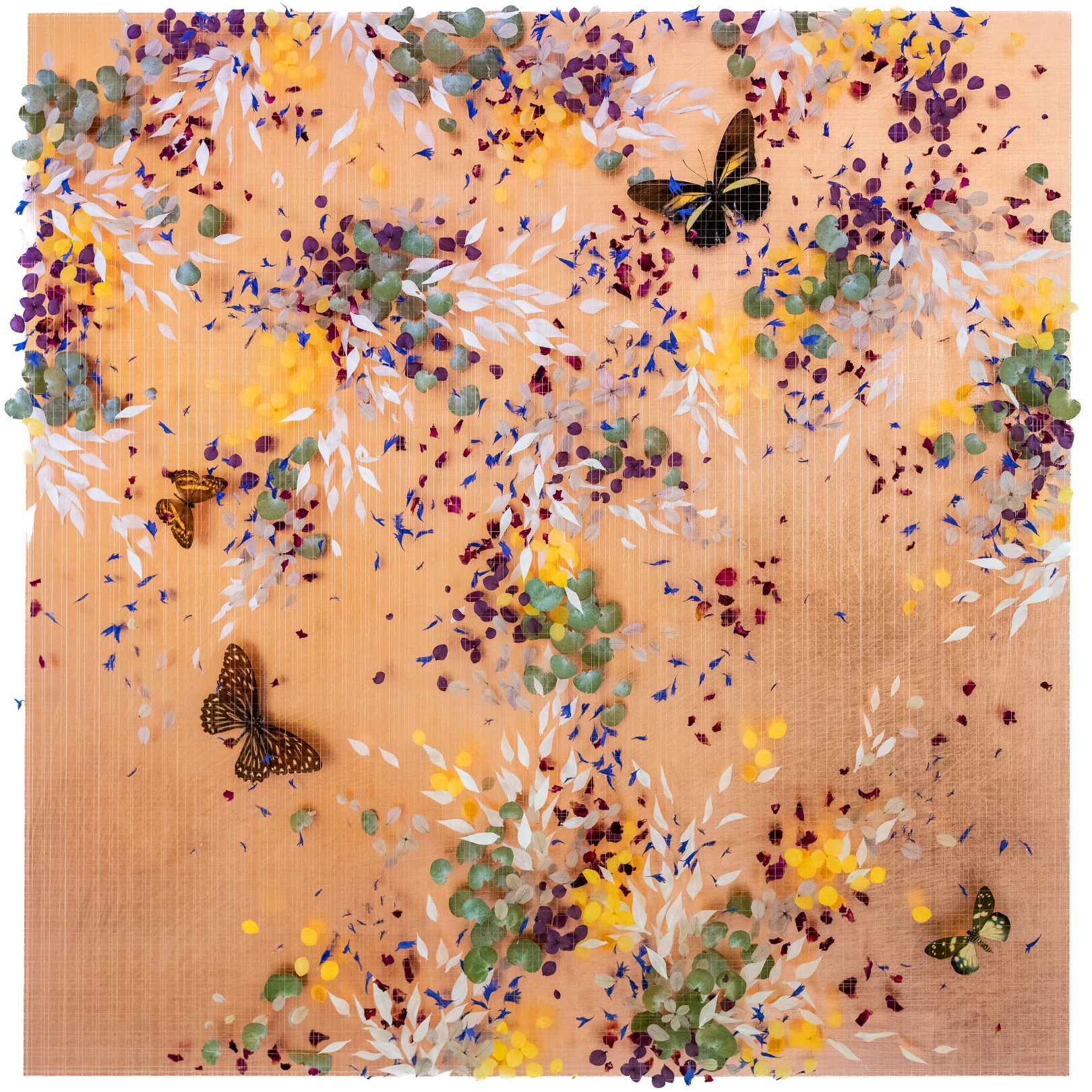 ALL THAT WE SEE - ANNA MASTERS - Galeries Bartoux