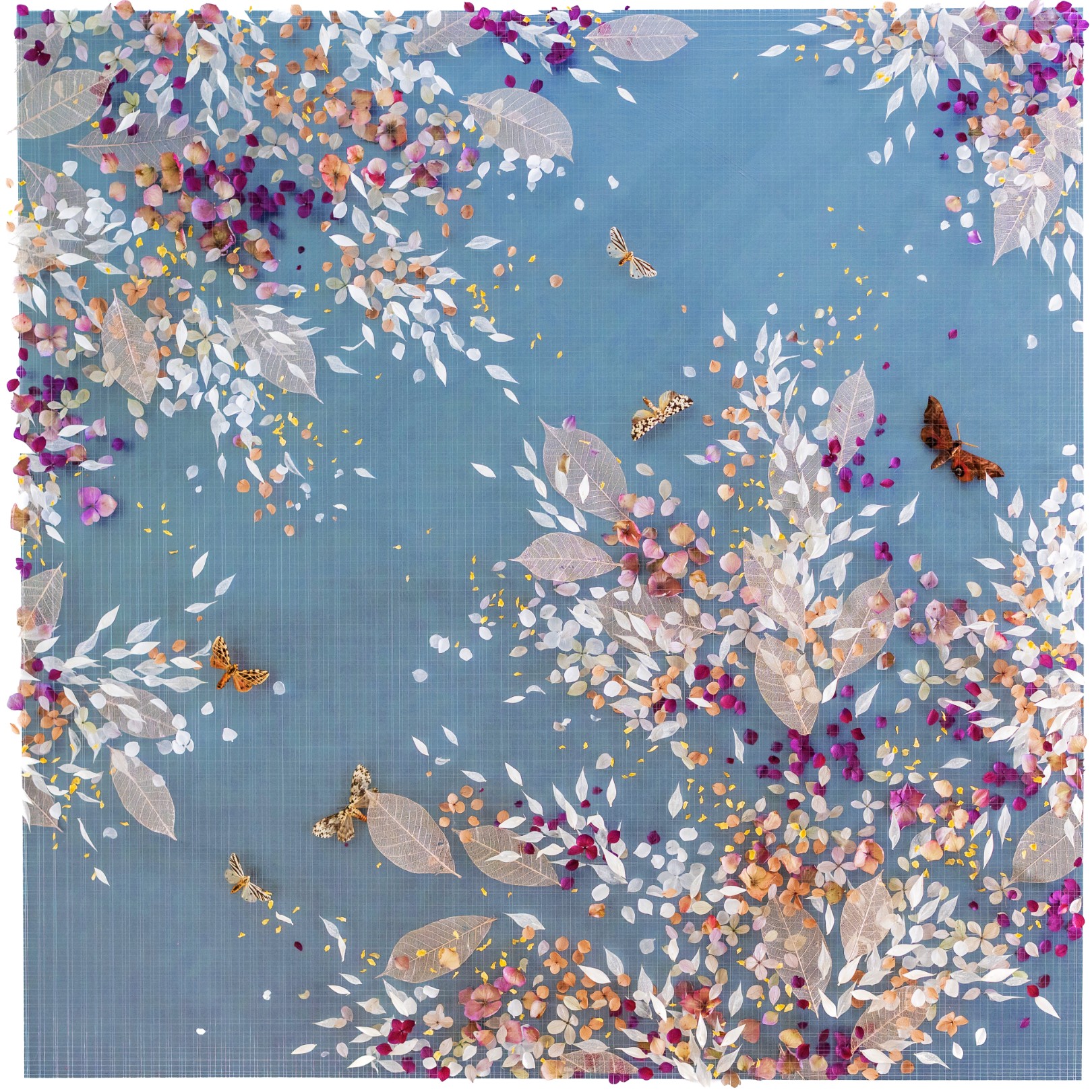 ECLIPSE - ANNA MASTERS - Galeries Bartoux