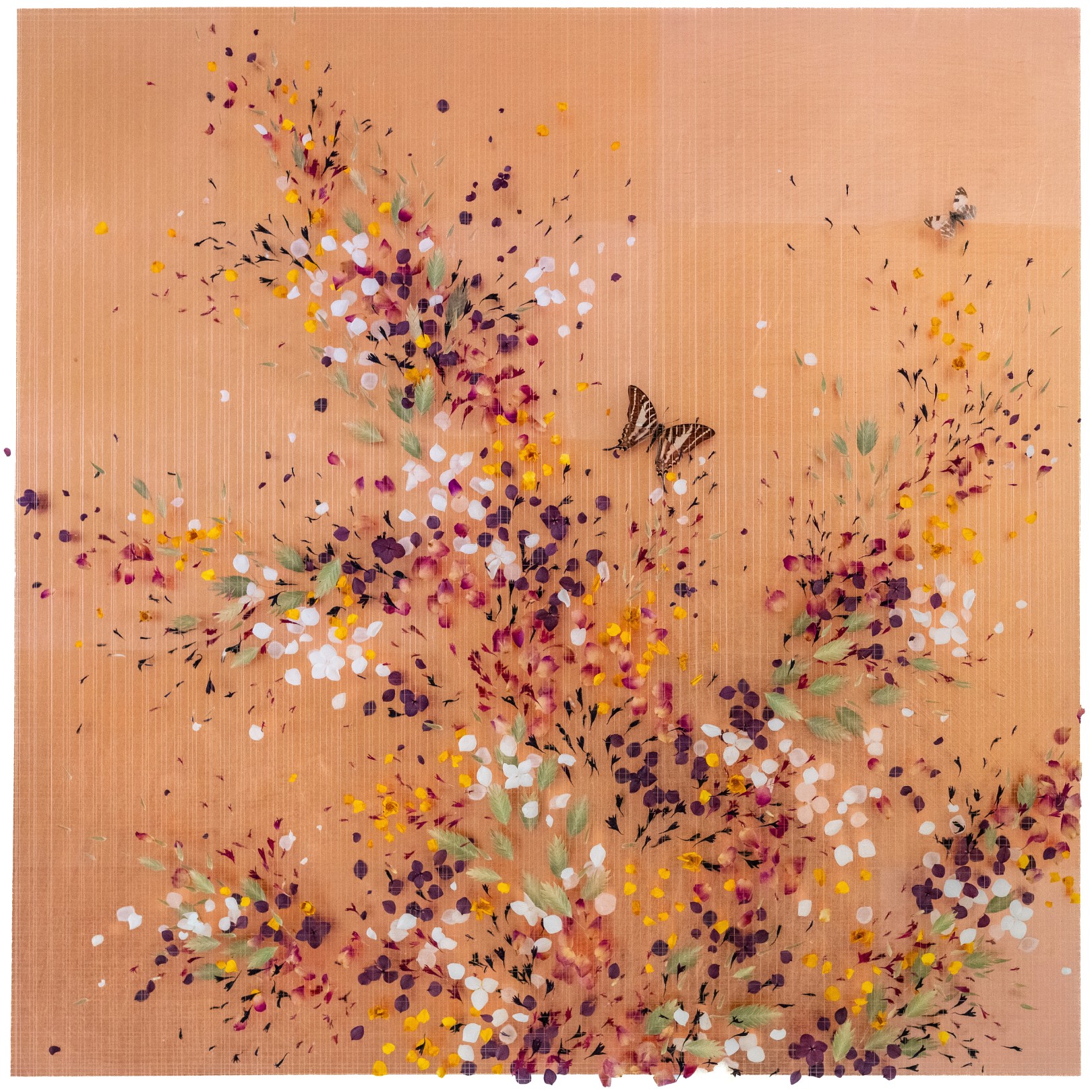 EMBER - ANNA MASTERS - Galeries Bartoux