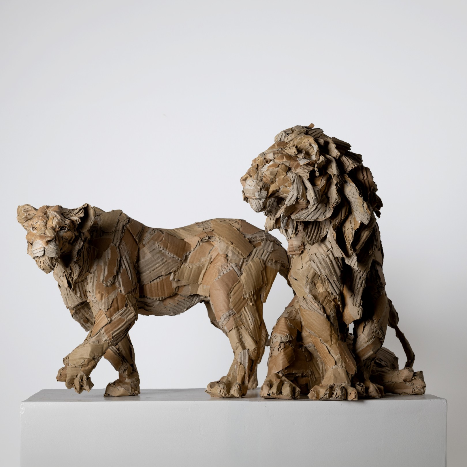 PAKHET & KALAHARI - OLIVIER BERTRAND - Galeries Bartoux