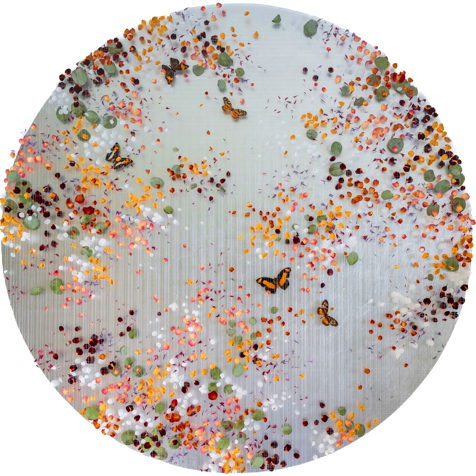 WALKING DREAM - ANNA MASTERS - Galeries Bartoux