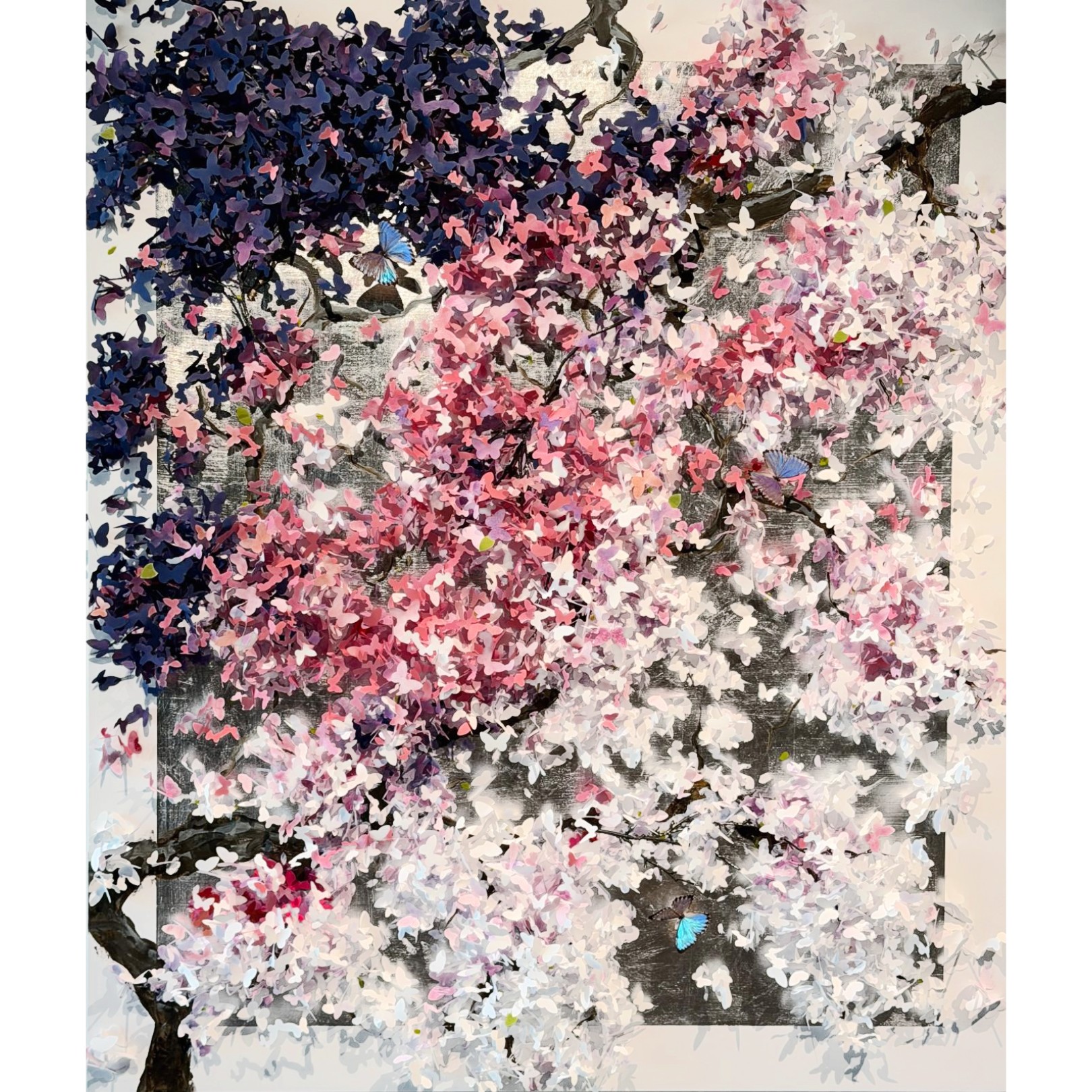SAKURA DÉGRADÉ DE COULEURS - LIS SAM - Galeries Bartoux