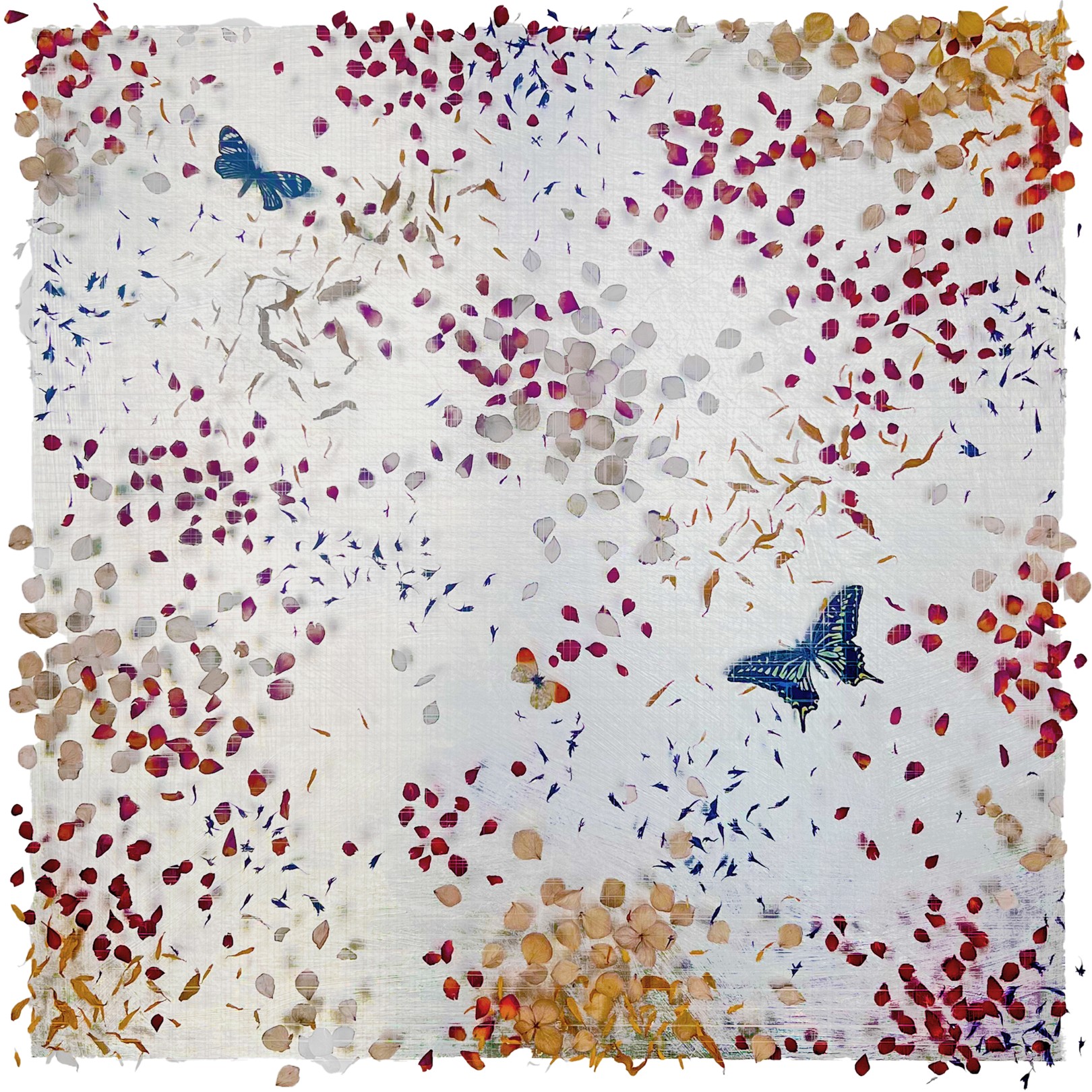 SUNSHINE SATURATE - ANNA MASTERS - Galeries Bartoux