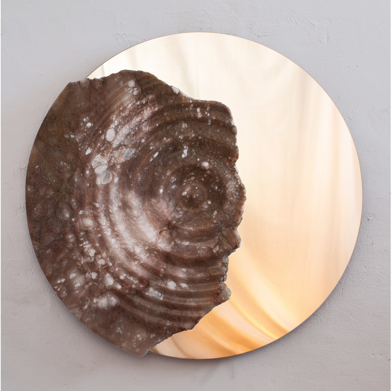 FOSSIL DROP - AMARIST - Galeries Bartoux