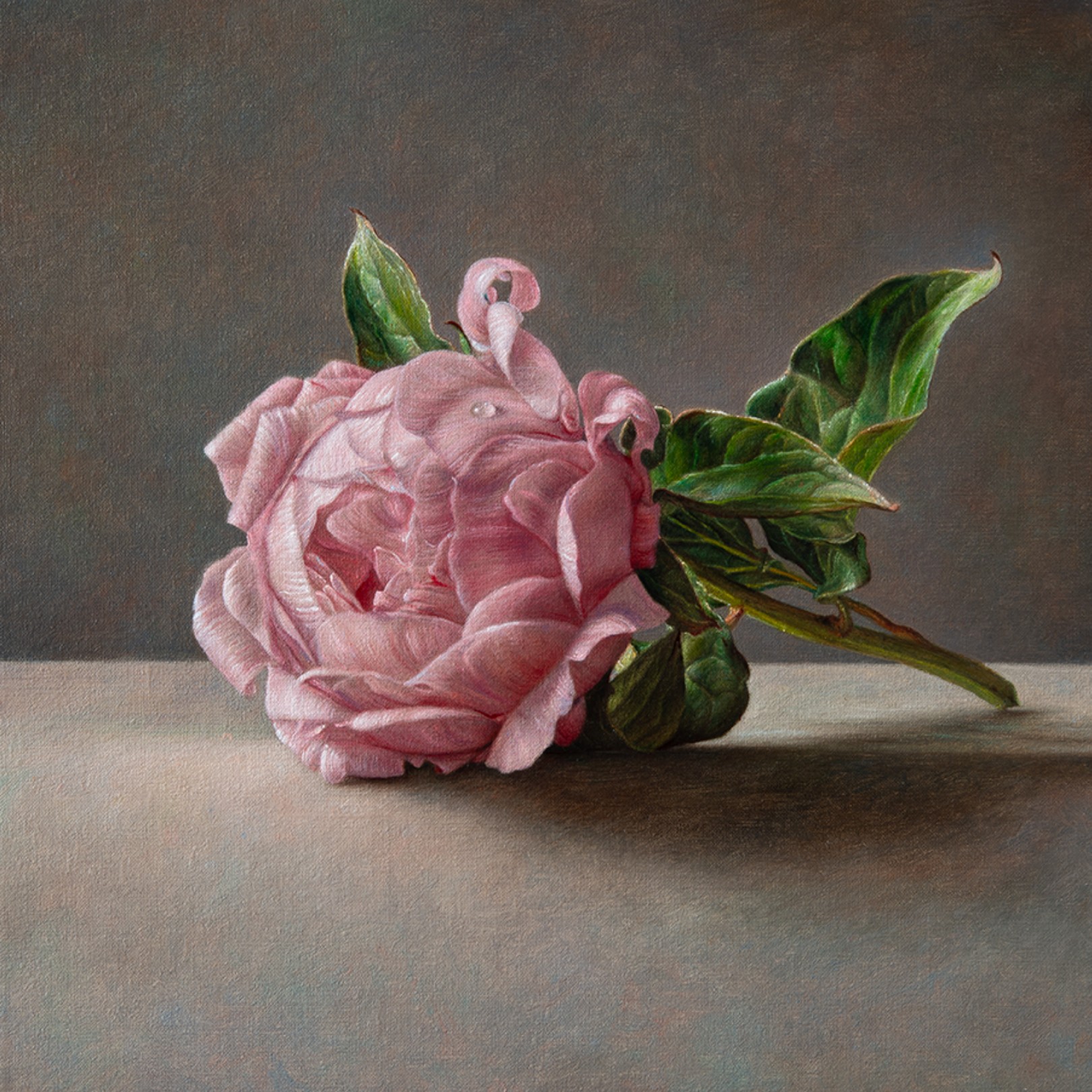 PEONIA - Gianluca Corona - Galeries Bartoux