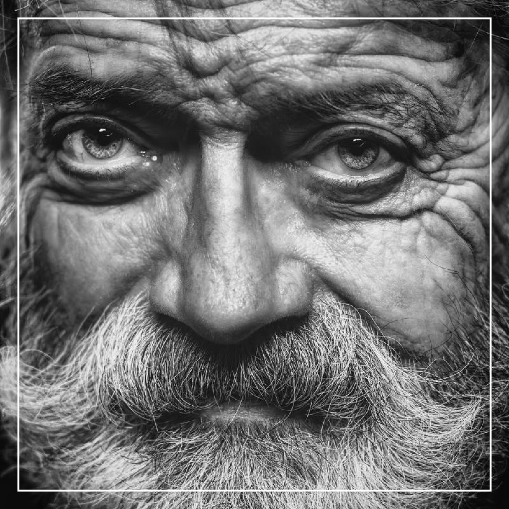 TRIBUTE TO MICHEL BASSOMPIERRE - Galeries Bartoux